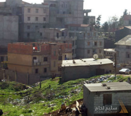 حلول السكن الممكنة وتأثير الضرائب 